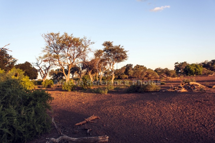 Mashatu Game Reserve Scenic